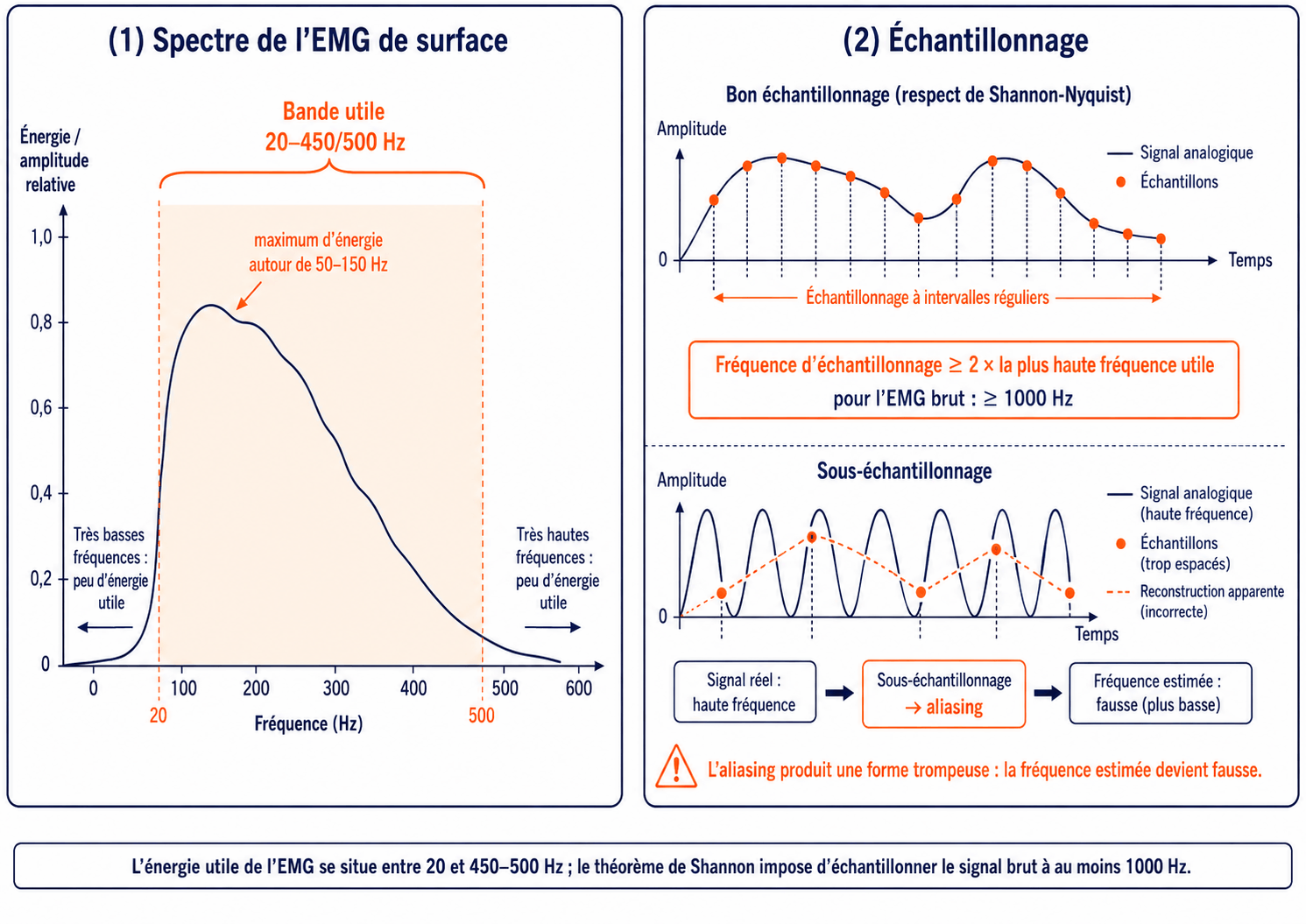 Spectre de l'EMG de surface, énergie utile entre 20 et 450-500 Hz, et échantillonnage : le théorème de Shannon impose au moins 1000 Hz sur le signal brut, sous peine d'aliasing